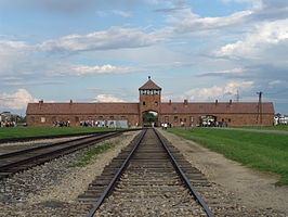 Tot aan de deuren van de gaskamers werkten in Auschwitz Nederlandse SS’ers