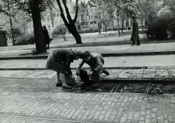 Het was winter 1945...en mijn hondenhok was leeg