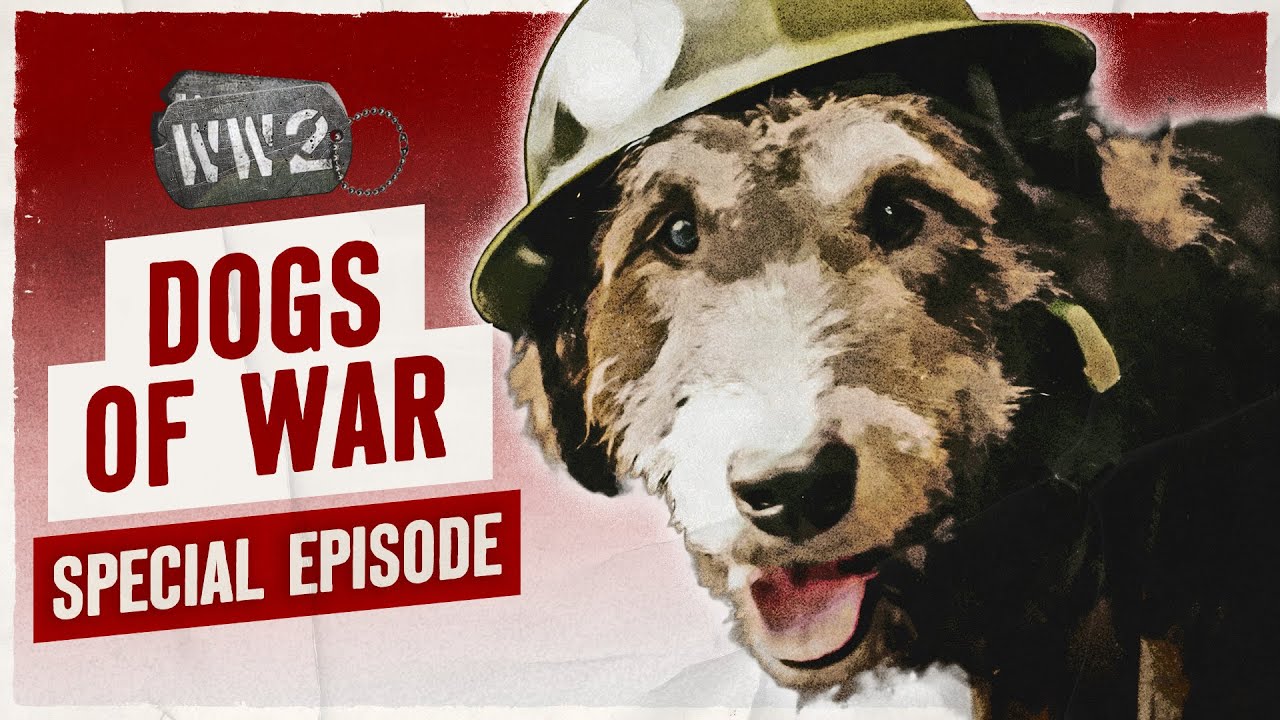 07-10: World War 2 Youtube Series - The Combat Dogs of World War Two - WW2 Special