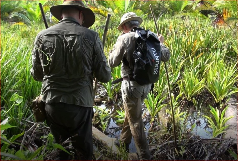 Gecrasht in de vijandige natuur van Nederlands Nieuw Guinea