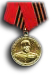 Medal Zhukova