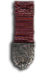 Dutch Work Service Competence Medal