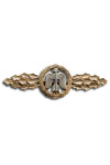 Combatclasp for Fighters in Bronze