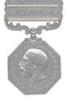 Zilveren Pooldienst Medaille