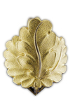 Oak Leaves to the Pour le Mérite