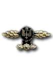 Combatclasp for Long-range Nightfighters in Gold with pendant