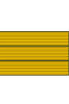 Combat Injury Badge