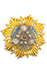 Order of the Sun of Alexander