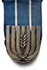 Police Distinguished Service Medal