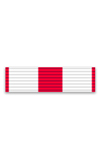 Order of Merit and Honour of the Cuban National Red Cross, Commander