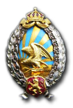 Waarnemers Badge