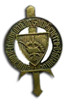 Joris van Severen Honour Badge