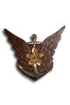 Navy Aviation Proficiency Badge 2nd Class