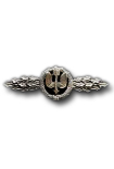 Combatclasp for Destroyers in Bronze