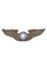 Pilot Badge