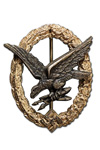 Air Radio Operator & Air Gunner badge