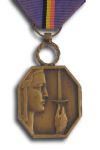 Medal of Belgian Gratitude in Bronze