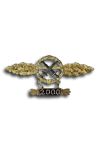 Combatclasp for Fighter-Bombers in Gold with Diamonds