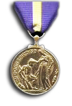 Service Medal 15 year
