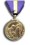 Lange Dienst Medaille 15 jaar