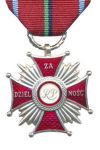 Cross of Merit for Valor