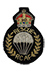 RCAF Para-Rescue Badge