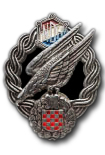 Parachutisten Badge