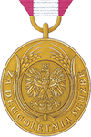 Long Service Medal 30 years