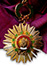 Order of the Sun of Peru - Grand Cross