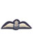 RAAF Pilot Badge