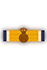Medaille in de Orde van Oranje Nassau in Brons met zwaarden