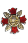 Gewonden Badge 