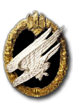 Army Parachutists Badge