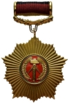 Patriotic Order of Merit Gold (1st Class)