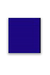 Service Medal 21 Years