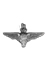 Parachutist Badge