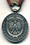 Long Service Medal 20 years