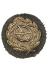 Driver Proficiency Badge in Bronze