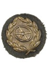 Chauffeursbadge in Brons