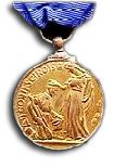 Service Medal 10 year