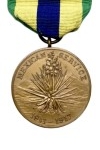 Mexico Dienst Medaille