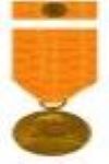 De Ruyter-medal in  bronze