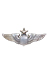 Senior Pilot Wing