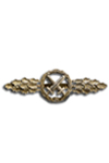 Combatclasp for Fighter-Bombers in Gold