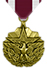 Meritorious Service Medal (MSM)