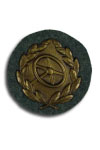 Driver Proficiency Badge in Gold