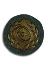 Chauffeursbadge in Goud