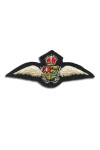 Pilotenbadge