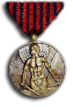 Medal for the War Volunteer