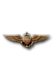 Marine Piloten Badge